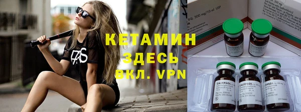 трава Абаза