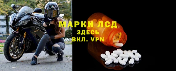 СК Абинск
