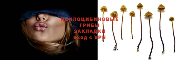 меф VHQ Абдулино