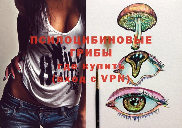 трава Абаза