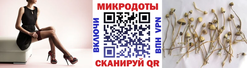 Псилоцибиновые грибы Psilocybe  как найти закладки  Норильск 